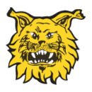 Ilves